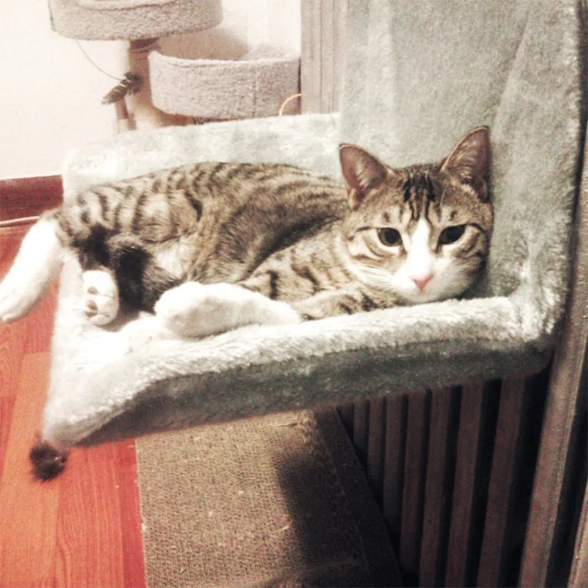 Cat Hammock Pet Winter Luxury Radiator Handing Bed